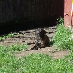 Meet your Posher, Chrisy